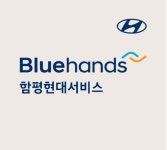 블루핸즈 함평현대서비스