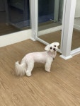 두리멍실