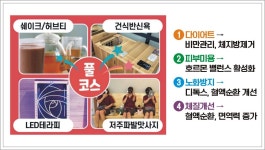 온편백힐링카페