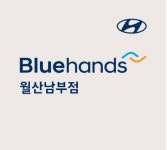 현대자동차블루핸즈 월산남부점