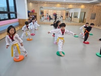 아리랑태권도 원신흥관