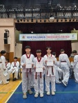 용인대김재윤태권도