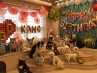 몽구네 애견유치원