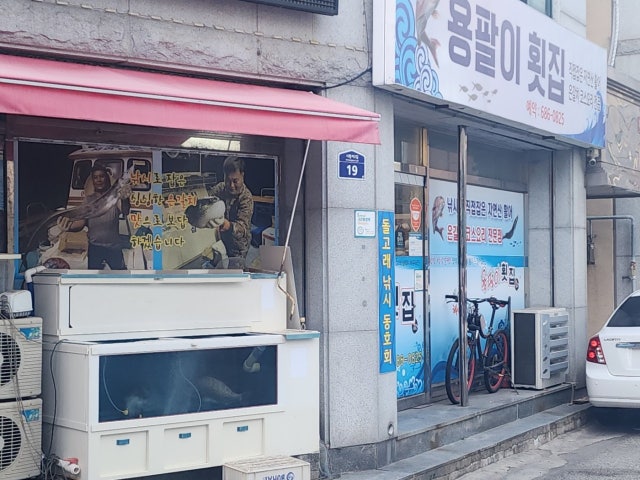 용팔이횟집