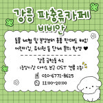 파충류카페 강릉점