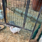 아트앤하트 의정부 호원범골점