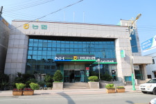 나비골농협 해보본점