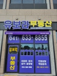 유보라 공인중개사 사무소