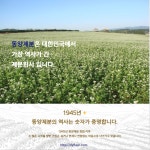 용익공분(주) | 동양제분