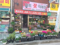 마트꽃직매장