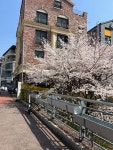 카페블레스롤강남 | 블레스롤 광교카페거리점