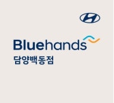 현대자동차블루핸즈 담양백동점
