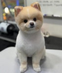 독앤걸즈