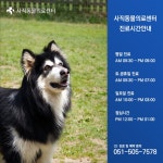 사직동물의료센터