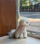 리몽드