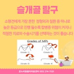 온누리동물의료센터