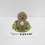 꼬리별펫케이크