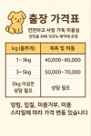사랑할개