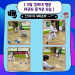 경희대명문태권도