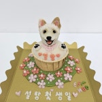 꼬리별펫케이크