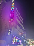 월드노래뮤비방