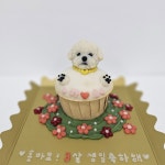 꼬리별펫케이크
