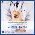사직동물의료센터