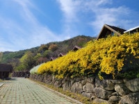 함양용추오토캠핑장