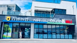 월정숲
