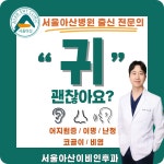 서울아산이비인후과의원