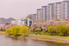 레지던스삼우
