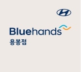 현대자동차블루핸즈 용봉점