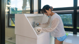 포레스트258
