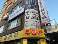 T마스터 태권도