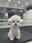뭉쓰살롱