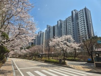 삼성부동산공인중개사사무소