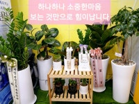 명가멸치국수충무김밥