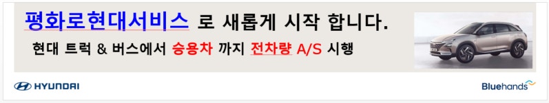블루핸즈 평화로현대서비스