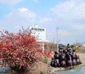 달디온/주말카페