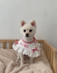 멍스월드