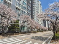 삼성부동산공인중개사사무소