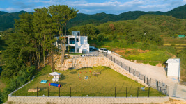 포레스트258