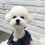 우리몽