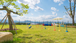 애견풀빌라 포레스트258