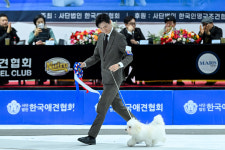 유어펫 살롱