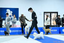 유어펫 살롱