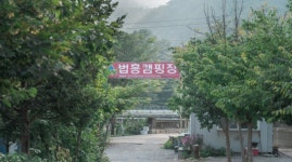 법흥캠핑장