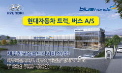 블루핸즈 평화로현대서비스