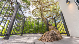 애견풀빌라 포레스트258