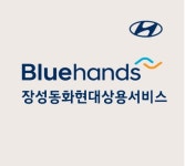 블루핸즈 장성동화현대상용서비스